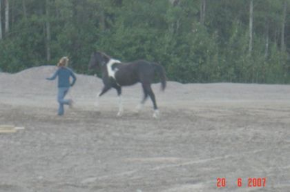 lol les pattes ds les airs :P