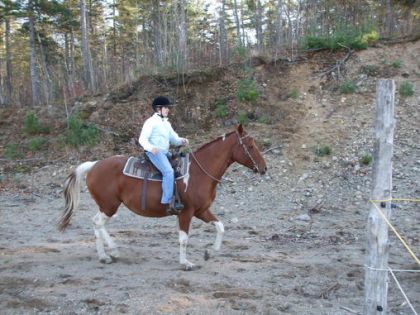parti pour un ti galop ! sur hishaw