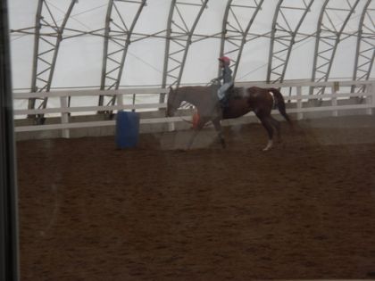 Selma  pis cashew..au galop
