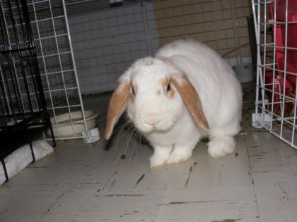 Encore mon gros bébé!
