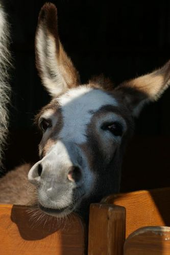 photo par goulie
