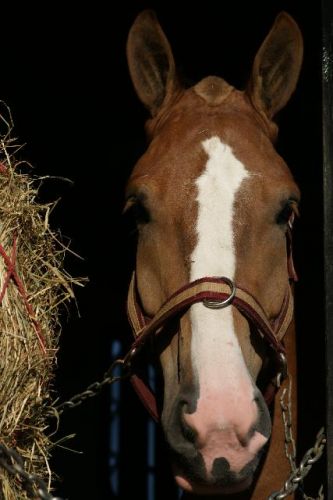 photo par goulie