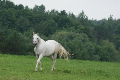 photo par goulie