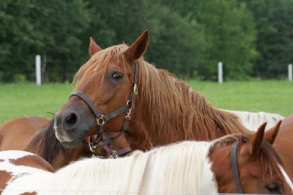 photo par goulie