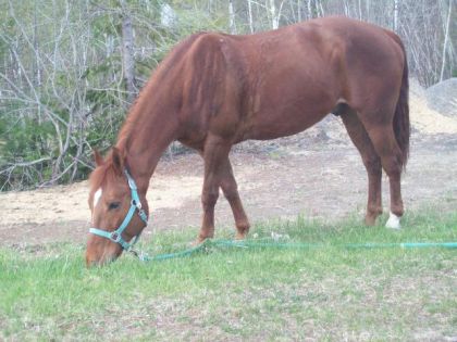 RUsty qui mange :)