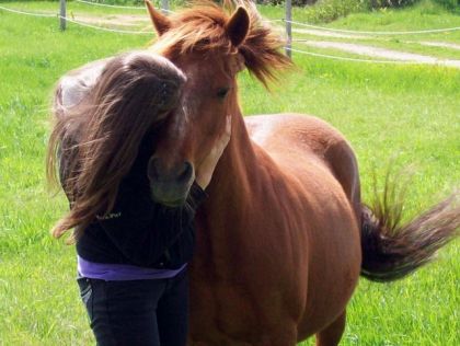 Retrouvailles avec mon ancienne ponette. Un merci tout spécial à...