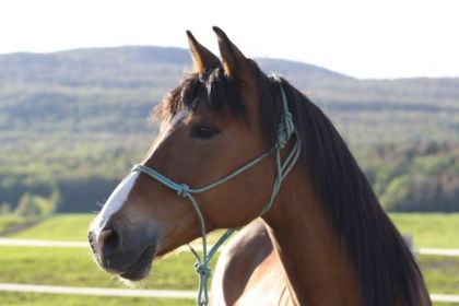 Trop beau mon garcon! Je t'aime mon bébé!