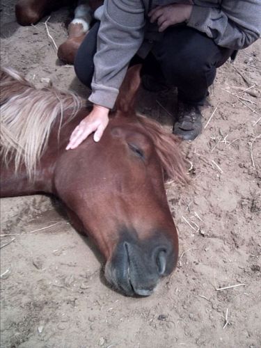 Martigan dans un profond someil!!!