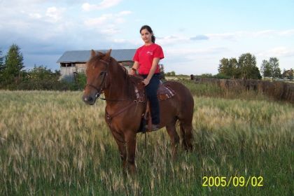 Cheval et cavalière dans un champ