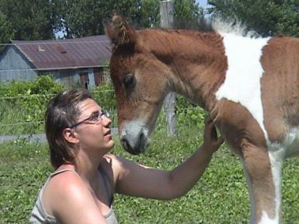 Me voici au ranch Namaspamoos avec Indigo, le dernier de Insy...