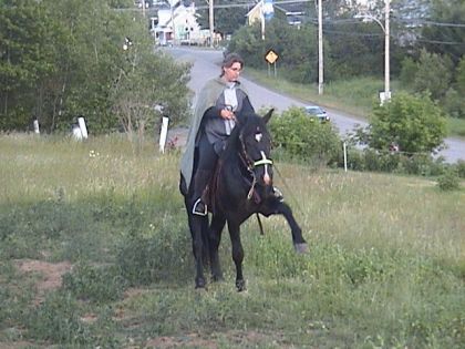 Continue comme ça mon garçon peut-être iras-tu à Cavalia un jour!