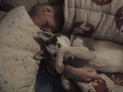 On fait la sieste maintenant (mon chum et notre ancien chien...