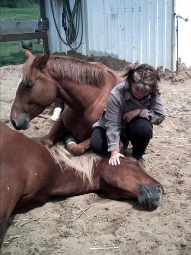 Un repos total..! En plus il ronflait! LOL .