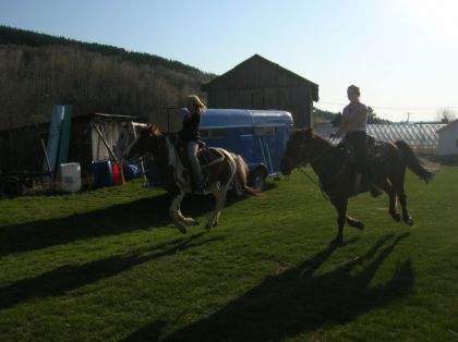 Galop dans la cour arrière de ma maison.