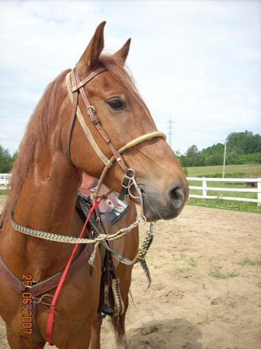 Mon ptit monsieur :P