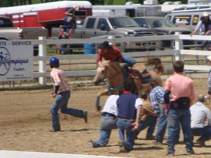 photo par joe4 ma jument au ranch des pins en fin de semaine dans l'échange