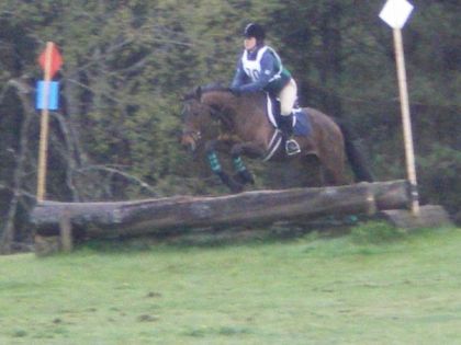 Tandalee mai 2009