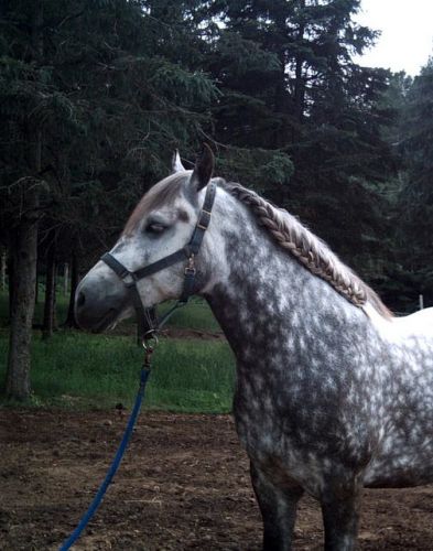 Encore mon grisou qui fait la pose! LOL .