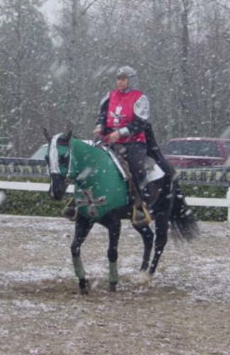 Cheval déguisé