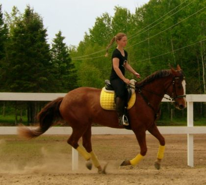 Pas facile à travailler le galop...! ;)