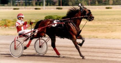 Shani MS, une des belles trotteuses de courses!