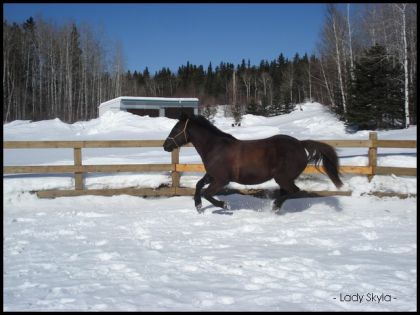 Malgré tout, on adore l'hiver ! =)