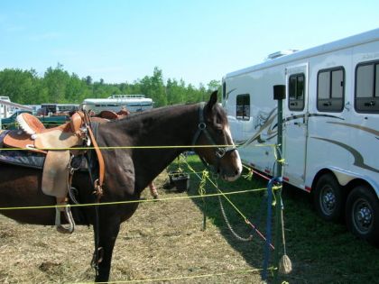Mon Cheval ( Show Mirabel )