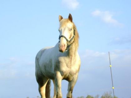 Stacy qui prend la pose ! <3