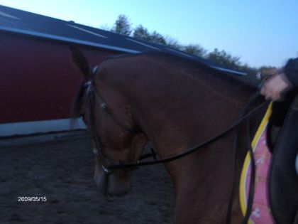 Ma jument =)