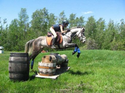 Entrainement de cross avec mon cheval