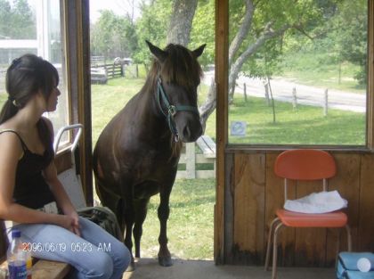 cassidy .. qui rentre dans la cabane .. pour des biscuit :p