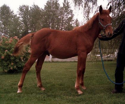 Voici Martigan quand il avait 5 mois, il a beaucoup changé!!!