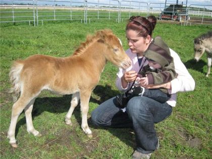 Voici Dora l'exploratrice... Elle est trop mignonne!!!