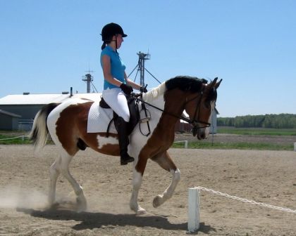Des souvenirs!!! j'avais tellement aimer faire le Photoshoot de...