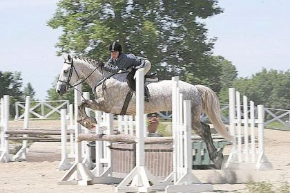 Cheval sautant un obstacle