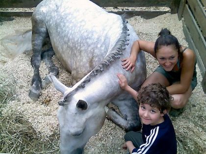 beau moment...mais pas si rare avec mon cheval ;)