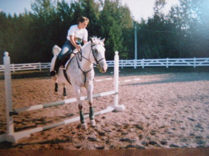 Appaloosa en saut