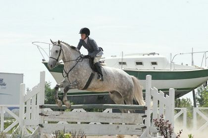 Cheval sautant un obstacle