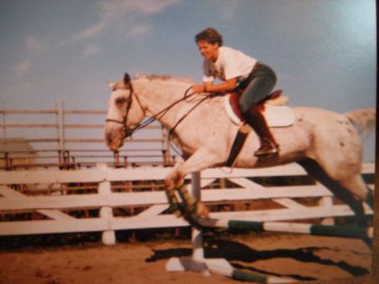 Cheval gris en saut