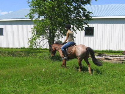 Cath et son super poney, Dude. Dans les longue herbes!