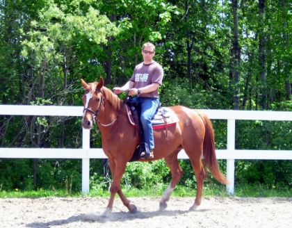 Travail western en manege sur Harmonie