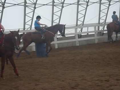 Mon cheval avec qui je fait pas prochaine run : Dude ( L )