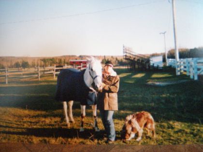 Cavalière, cheval et chien
