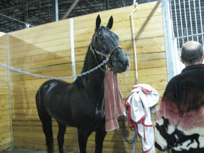 photo par MagicJJ a la douche