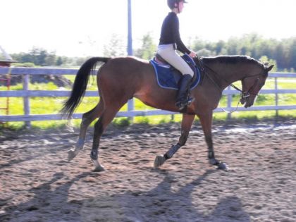 Bailey's galope maintenant placé =)