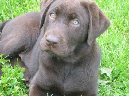 Le nouveau bébé a moi et a mon chum notre petit Zack! Qui sera...