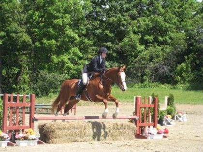 &Eacute;quitation