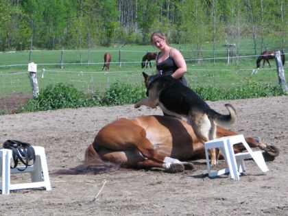 un dodo pour jac un petit saut pour lancelot hahaha!!