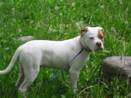 Mon pitouu :)