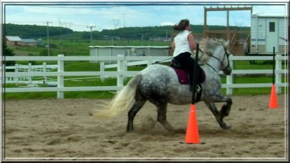Moi et Silver week-end passé, gymkhana amical de St-Paulin. :)